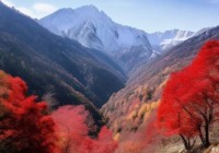 秦岭奇景：半山红叶半山雪，美不胜收！