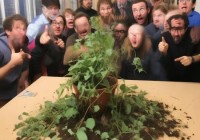 网购绿植半年后死亡，顾客索求全额退款，商家如何应对？
